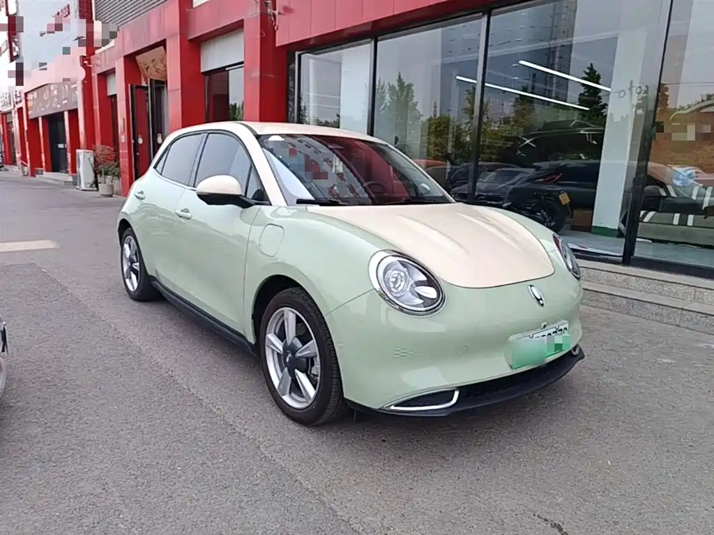 Euler Good Cat 2021 model 400km standard battery life Athena version ternary lithium купить на сайте DeffCars