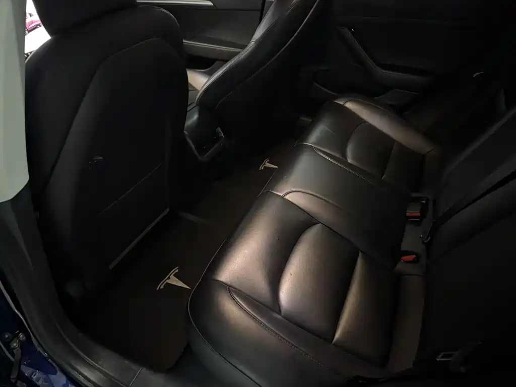 Model 3 2022 rear-wheel drive version купить на сайте DeffCars