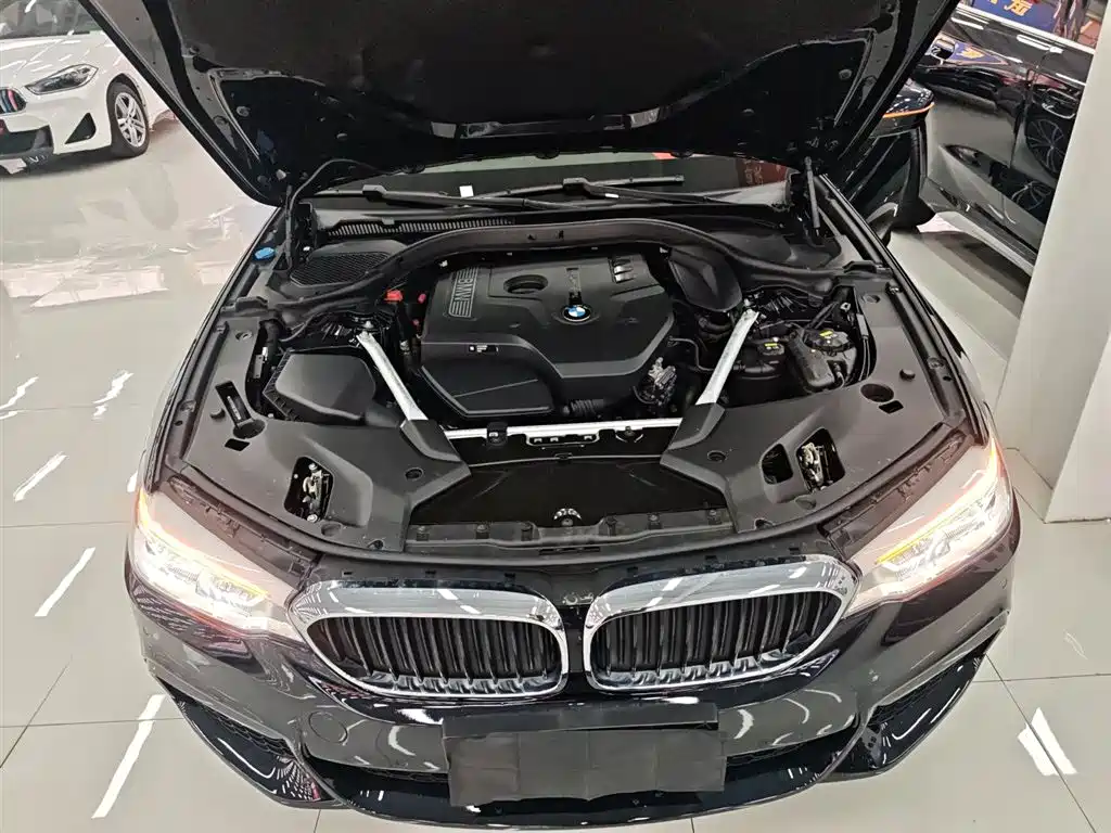 BMW 5 Series 2020 530Li Leading M Sports Package купить на сайте DeffCars