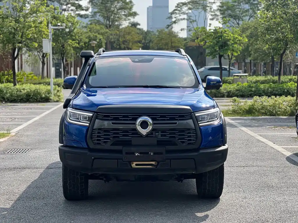 Cannon 2020 2.0T off-road version automatic gasoline four-wheel drive high-end version GW4C20B купить на сайте DeffCars