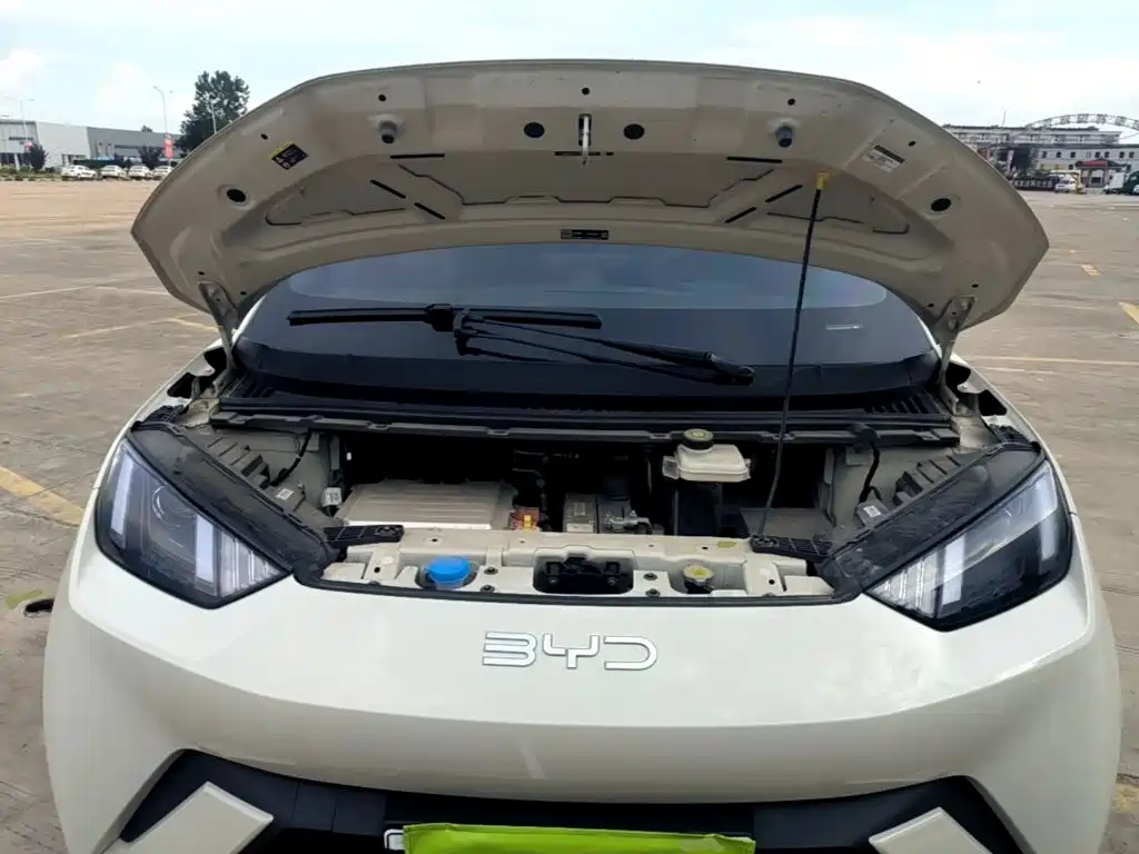 Seagull 2024 Honor Edition 305km Vitality купить на сайте DeffCars