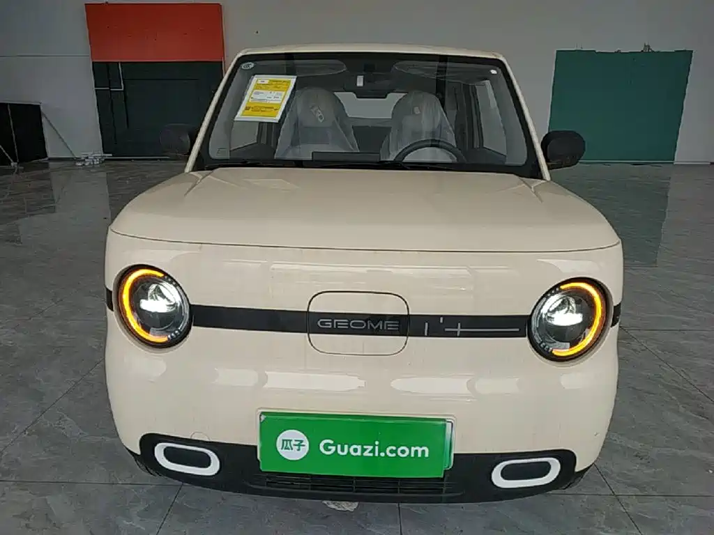 Panda 2025 Panda mini 210km Yuanqi Bear купить на сайте DeffCars