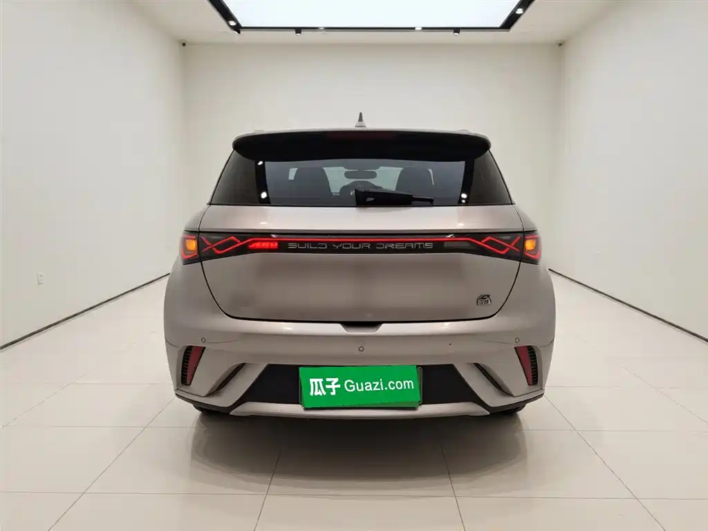 Dolphin 2023 420km Free Edition купить на сайте DeffCars