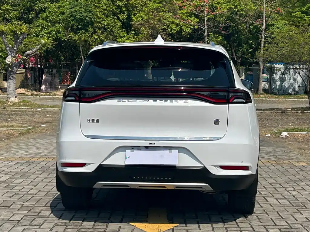 Tang 2021 2.0T automatic flagship model купить на сайте DeffCars