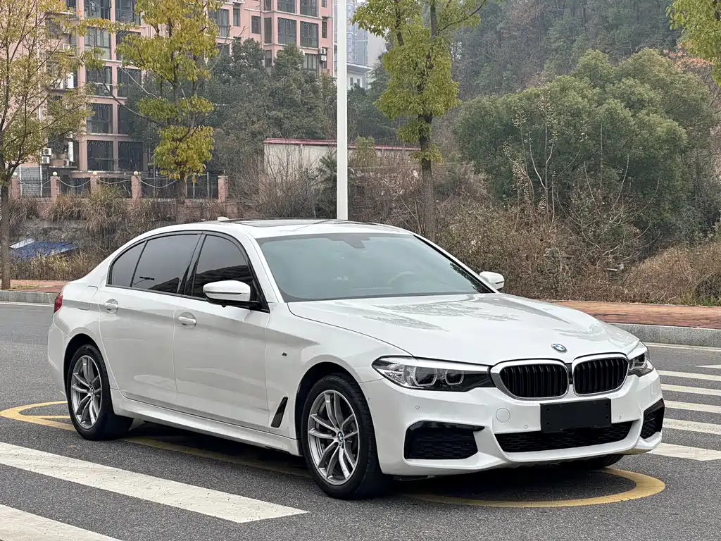 BMW 5 Series 2019 facelift 525Li M Sports Package купить на сайте DeffCars