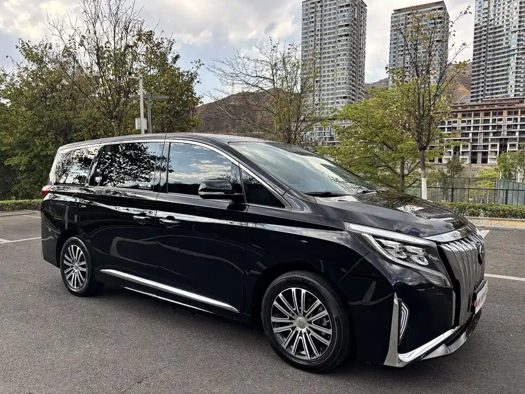 Trumpchi M8 2021 Lingxiu Series 390T Premium Edition купить на сайте DeffCars