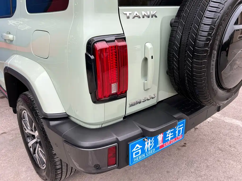 Tank 300 2021 City Edition 2.0T Very Stylish купить на сайте DeffCars