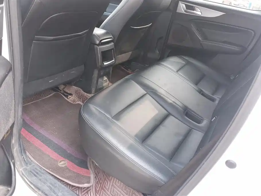 Cannon 2021 2.0T commercial version automatic diesel two-wheel drive elite long box GW4D20M купить на сайте DeffCars