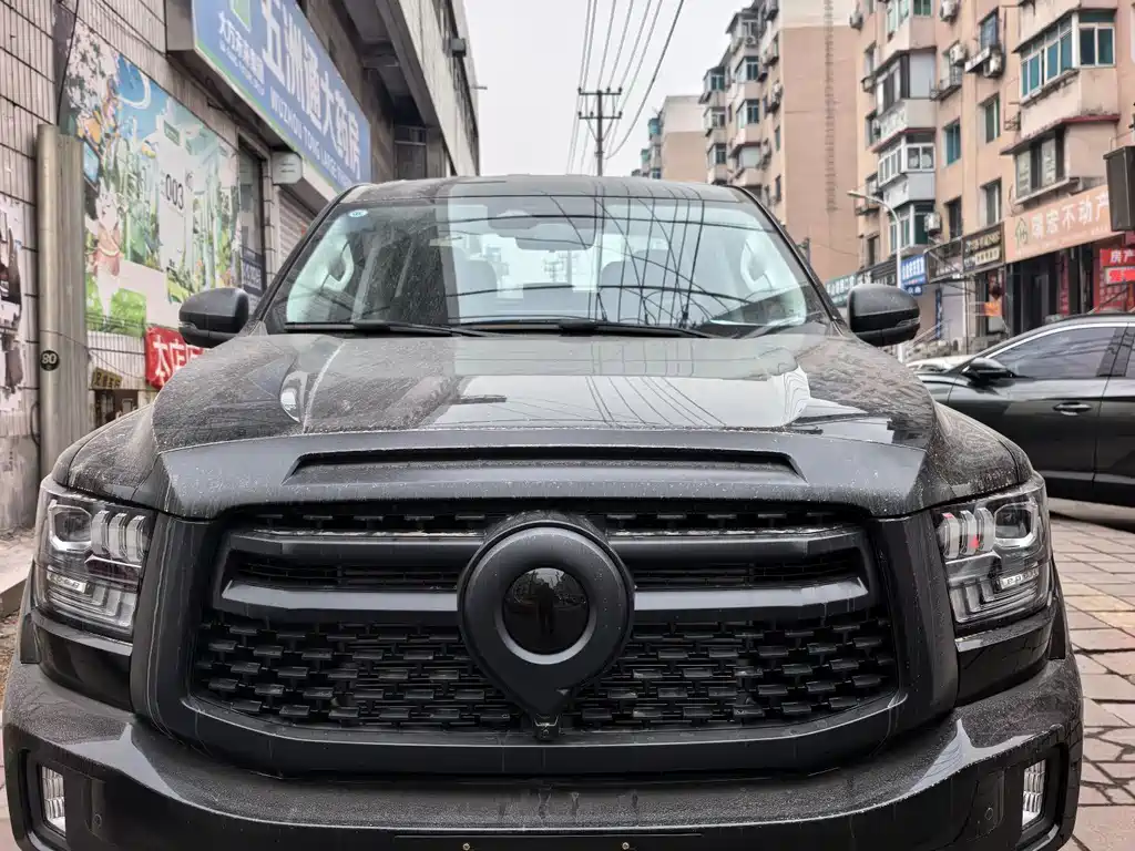 Shanhaipao 2025 2.4T global version basic model купить на сайте DeffCars