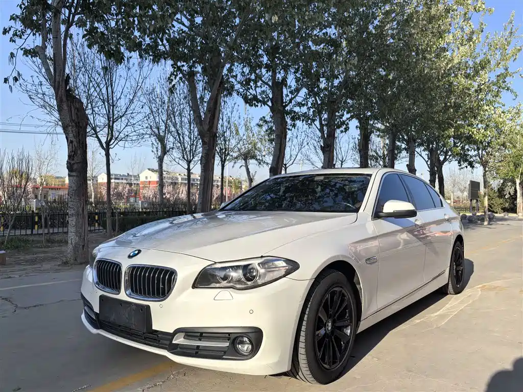 BMW 5 Series 2017 520Li Elegant купить на сайте DeffCars