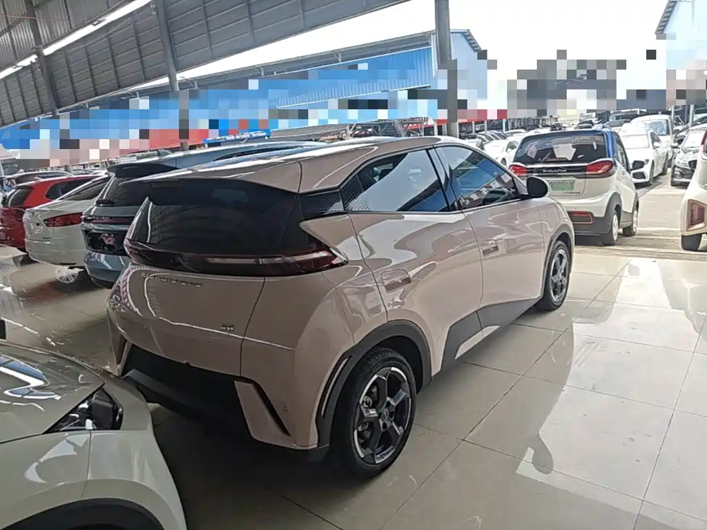 Seagull 2024 Honor Edition 405km Flying Edition купить на сайте DeffCars