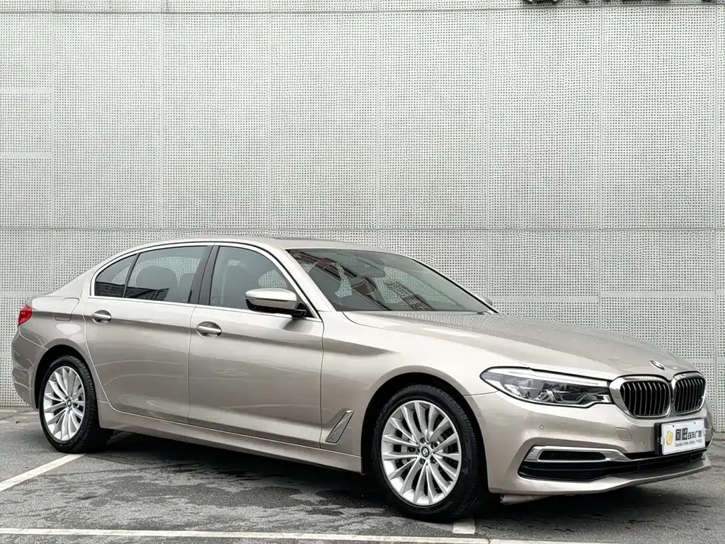 BMW 5 Series 2020 530Li Leading Luxury Package купить на сайте DeffCars