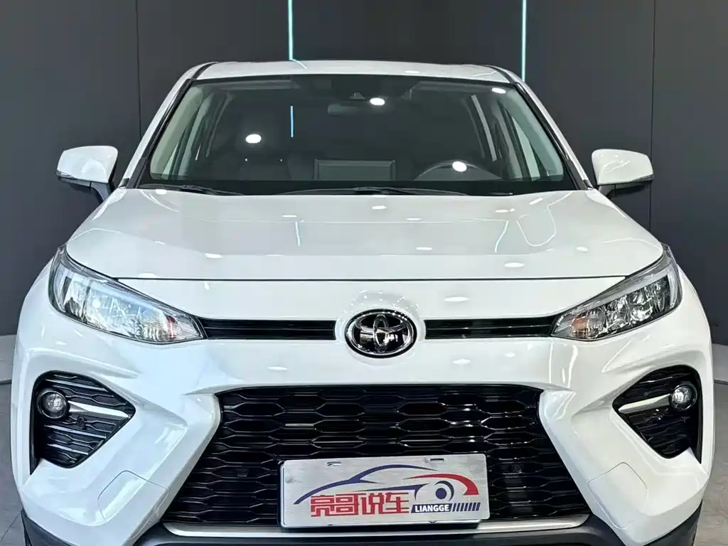 Wilanda 2021 2.0L CVT two-wheel drive luxury version купить на сайте DeffCars