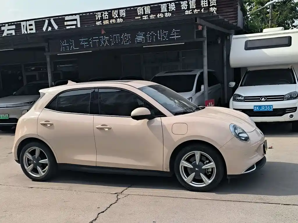 Euler Good Cat 2023 Model 401km Standard Range Honor Type Lithium Iron Phosphate купить на сайте DeffCars