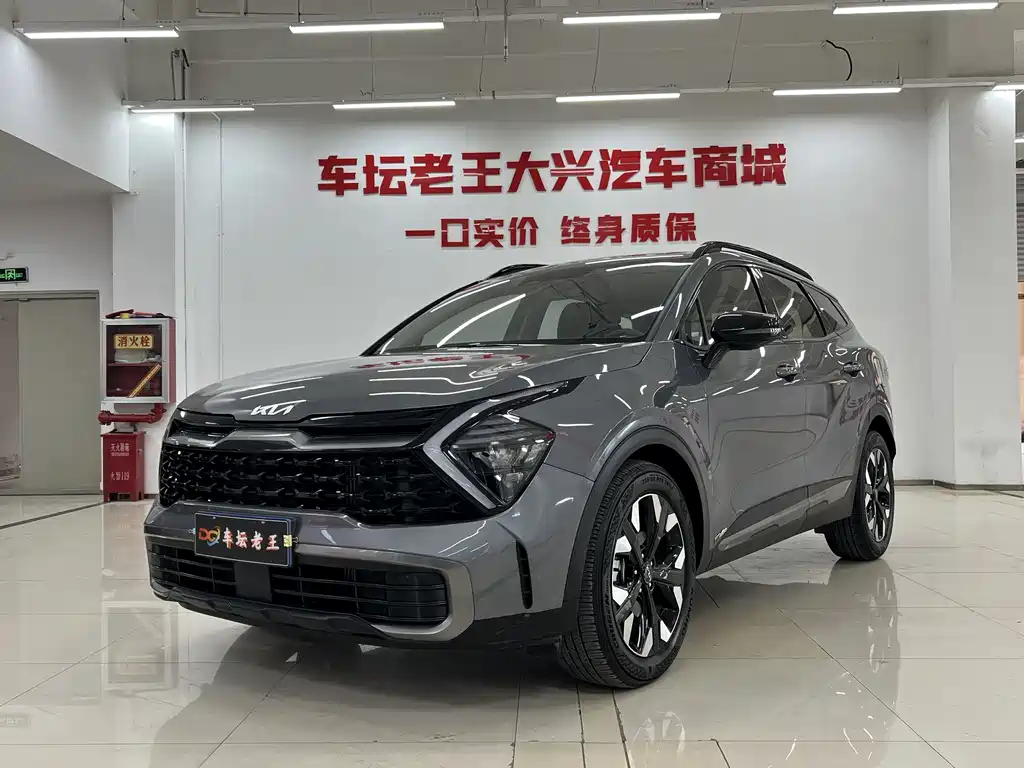 Lion Platinum Extends the World 2023 2.0T Two-wheel Drive Premium Edition купить на сайте DeffCars