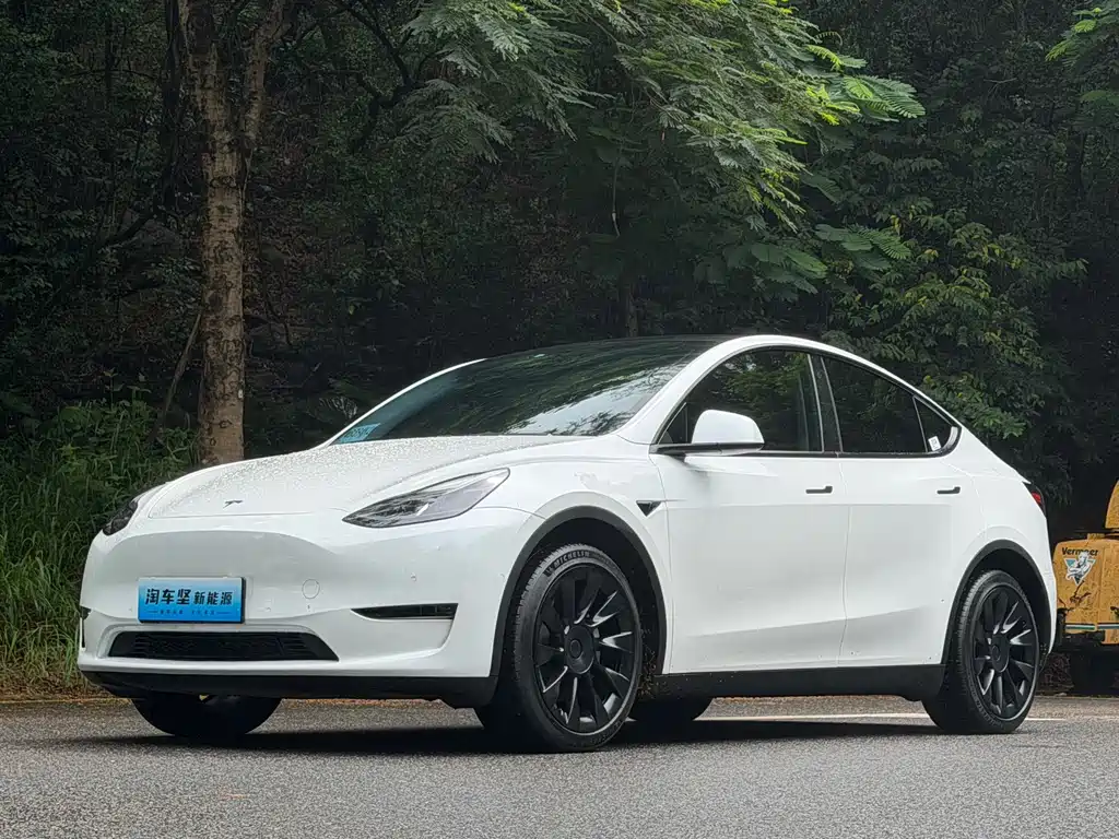 Model Y 2022 facelift rear-wheel drive version купить на сайте DeffCars