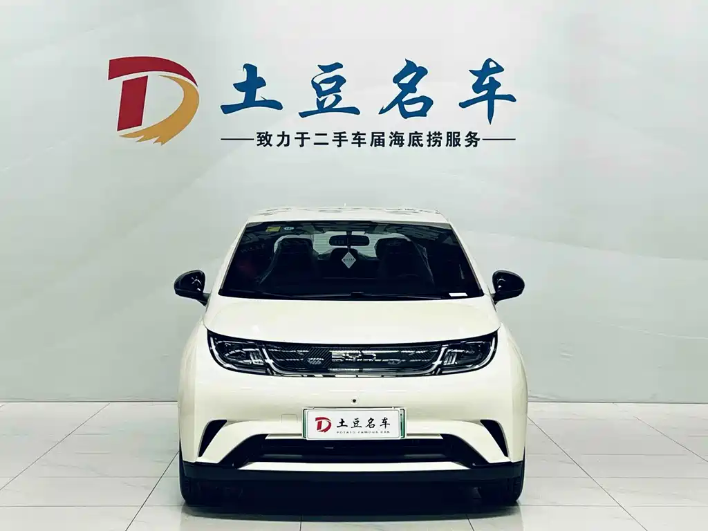 Dolphin 2025 420km Free Edition купить на сайте DeffCars