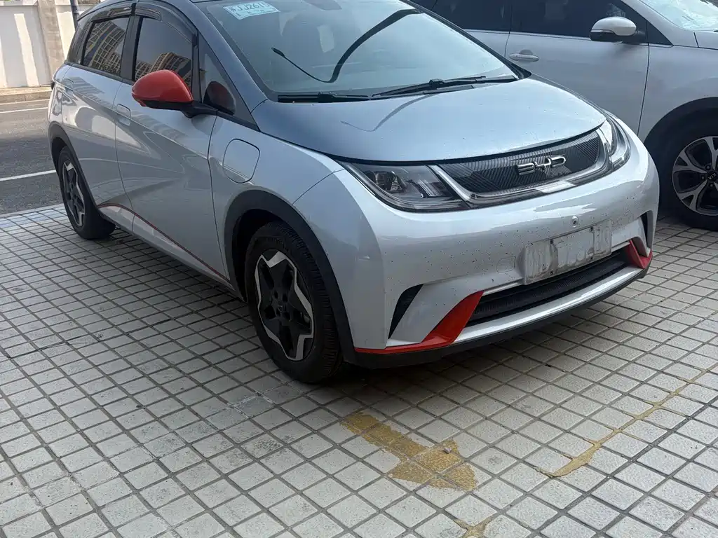 Dolphin 2021 405km Fashion Edition купить на сайте DeffCars