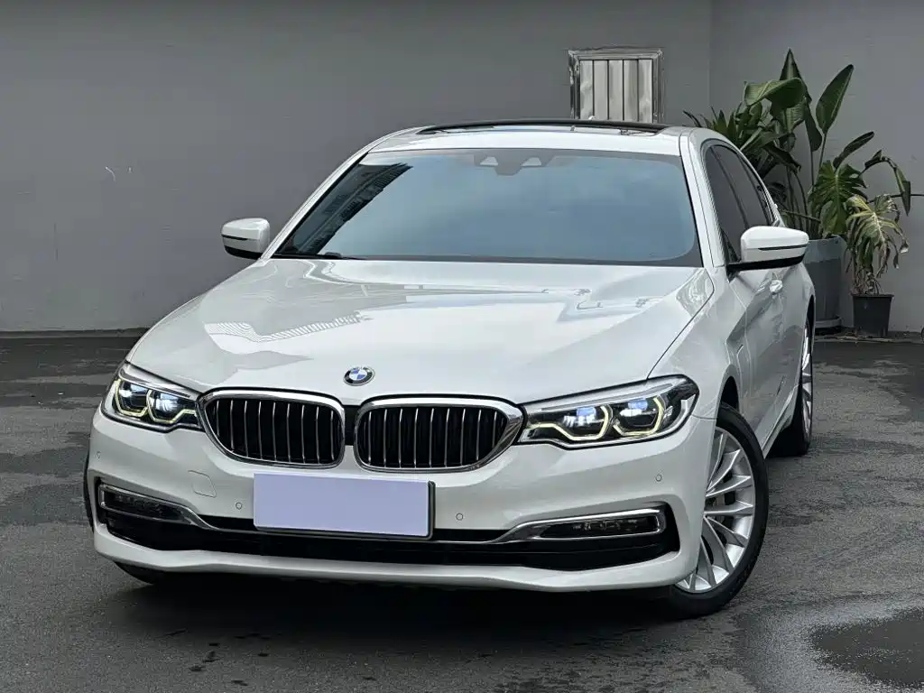 BMW 5 Series New Energy 2019 Model 530Le Luxury Package купить на сайте DeffCars