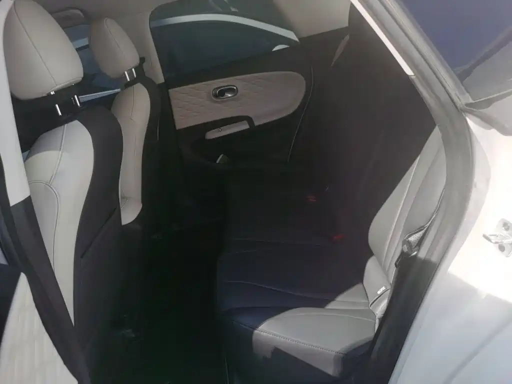Nano 01 2024 Renewed Version 330 Plus Smart+ купить на сайте DeffCars