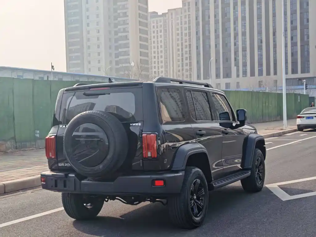 Tank 300 2023 Off-Road Version 2.0T Conqueror купить на сайте DeffCars