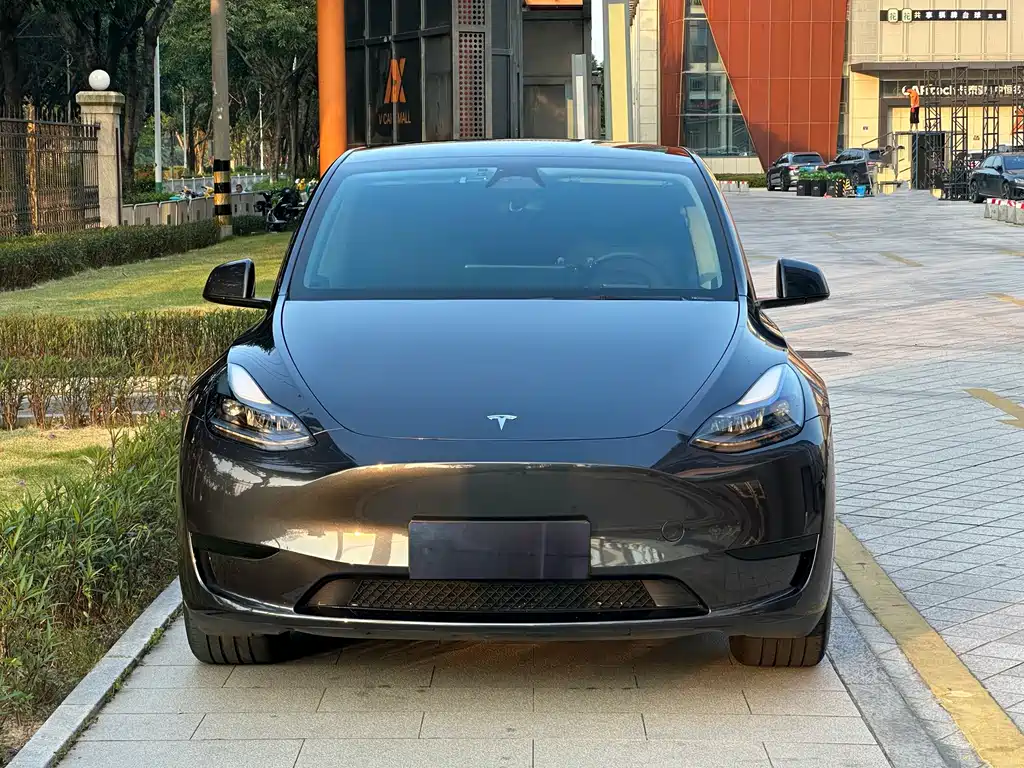 Model Y 2024 rear-wheel drive version купить на сайте DeffCars