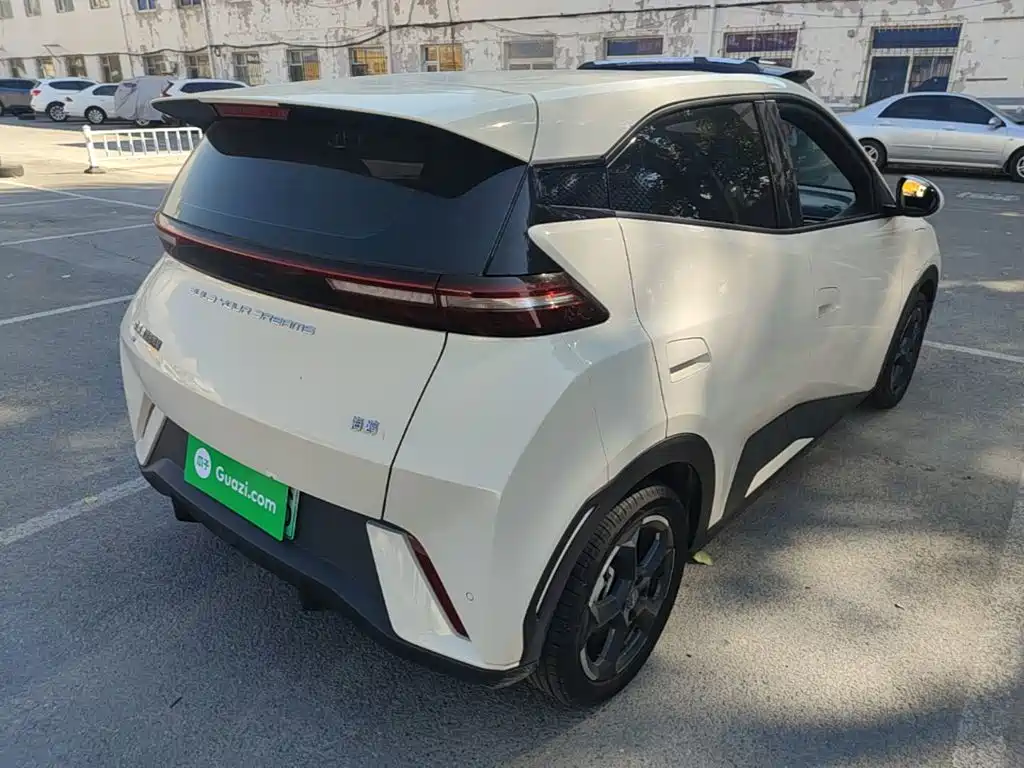 Seagull 2023 Flying Edition купить на сайте DeffCars