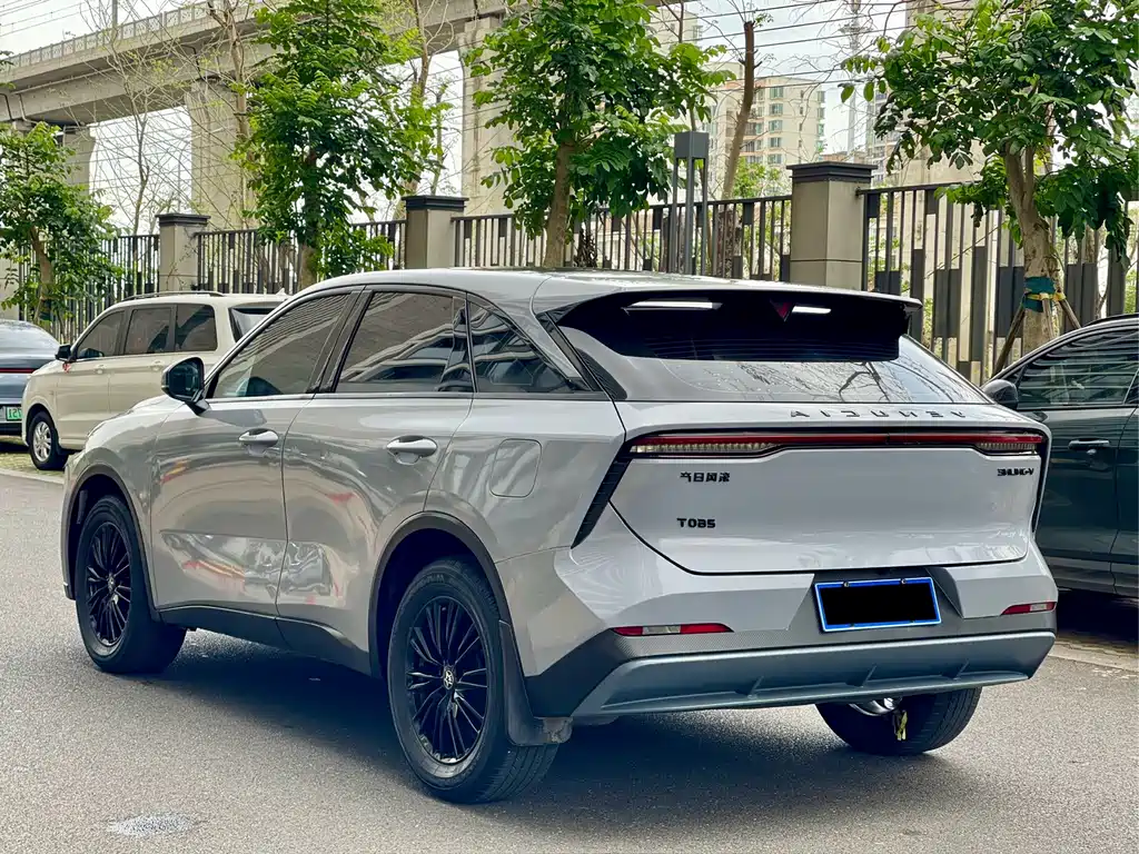 Venucia Big V 2021 260T Idol Edition купить на сайте DeffCars