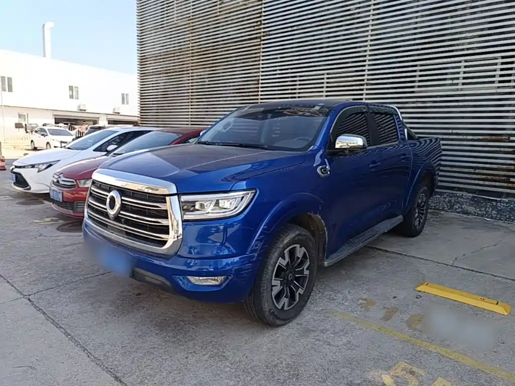 Cannon 2019 2.0T automatic gasoline four-wheel drive sports version GW4C20B купить на сайте DeffCars