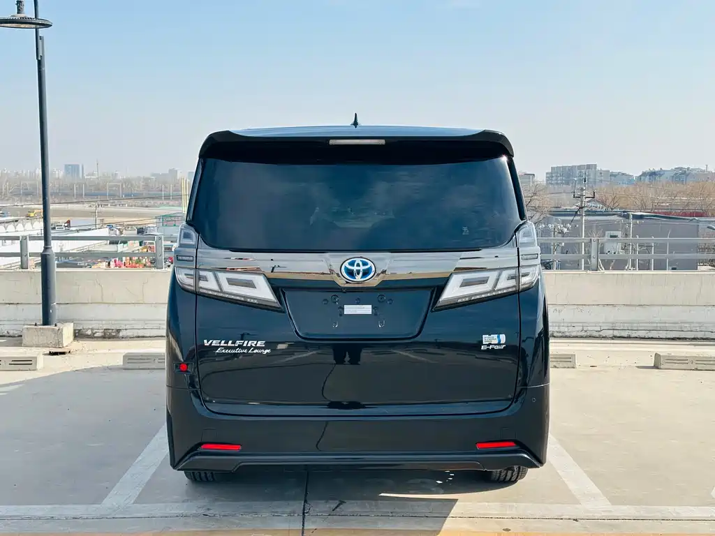 Wilfa 2020 Shuangqing 2.5L Black Gold Limited Edition купить на сайте DeffCars