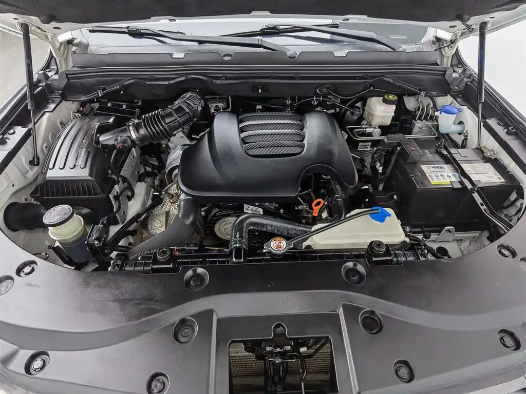 Cannon 2021 2.0T commercial version automatic diesel two-wheel drive elite long box GW4D20M купить на сайте DeffCars