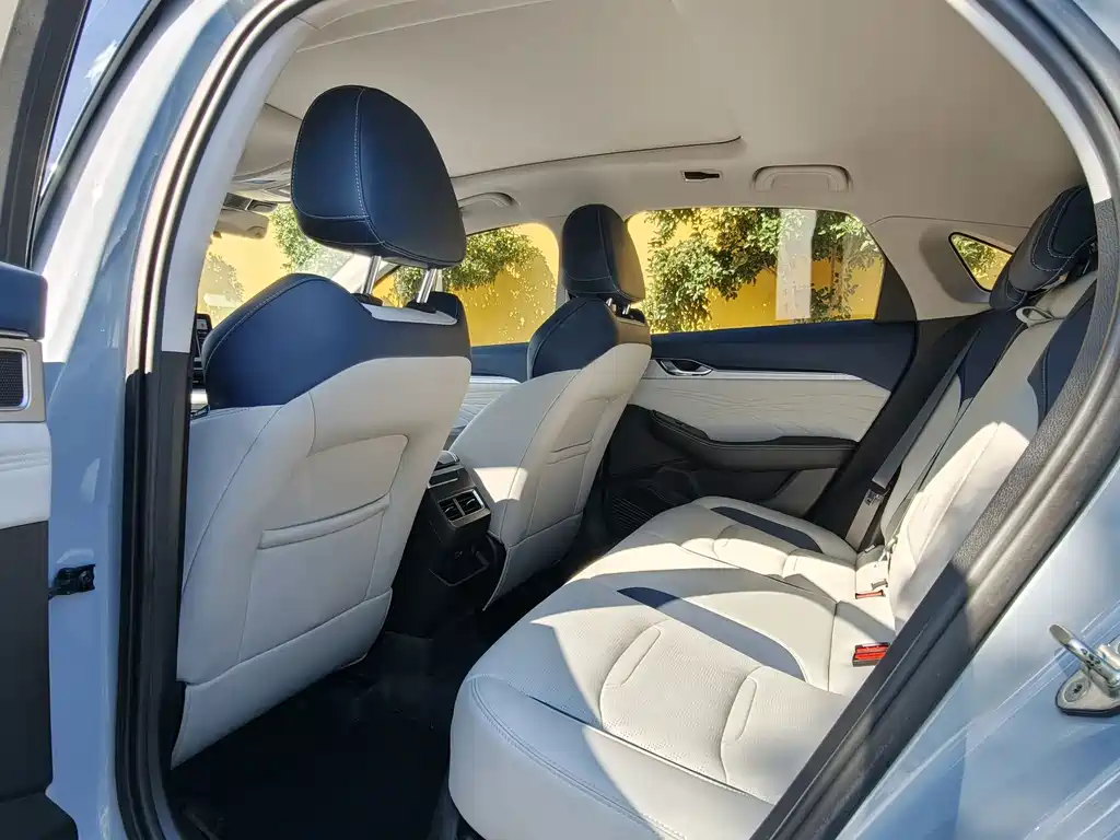 Xingrui 2023 2.0TD Premium Model купить на сайте DeffCars