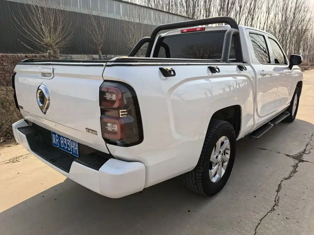 King Kong Cannon 2023 2.0T manual diesel four-wheel drive entrepreneurial long box GW4D20M купить на сайте DeffCars