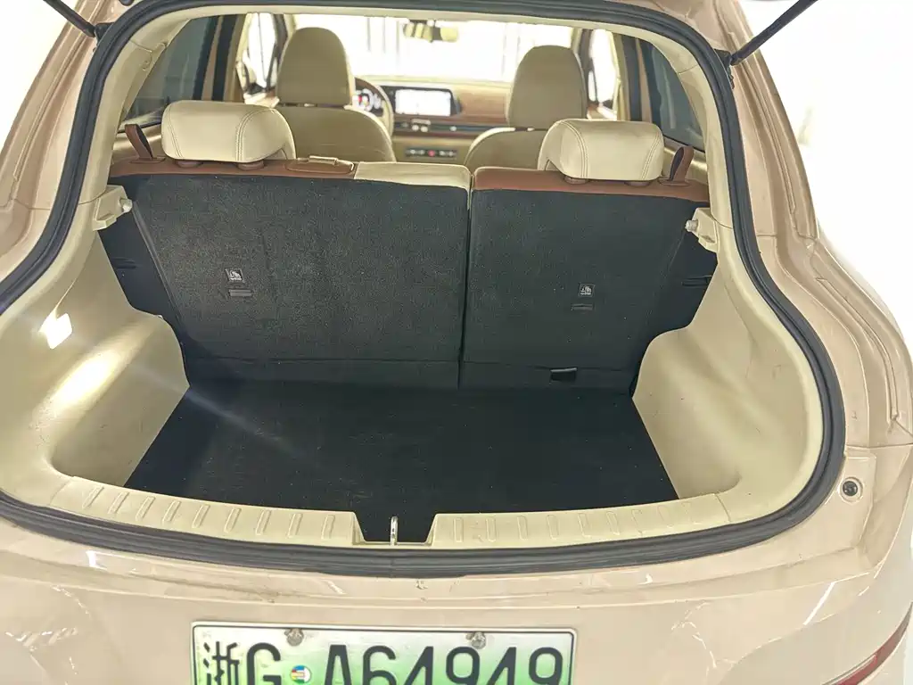 Euler Good Cat 2021 model 400km standard battery life Venus version ternary lithium купить на сайте DeffCars