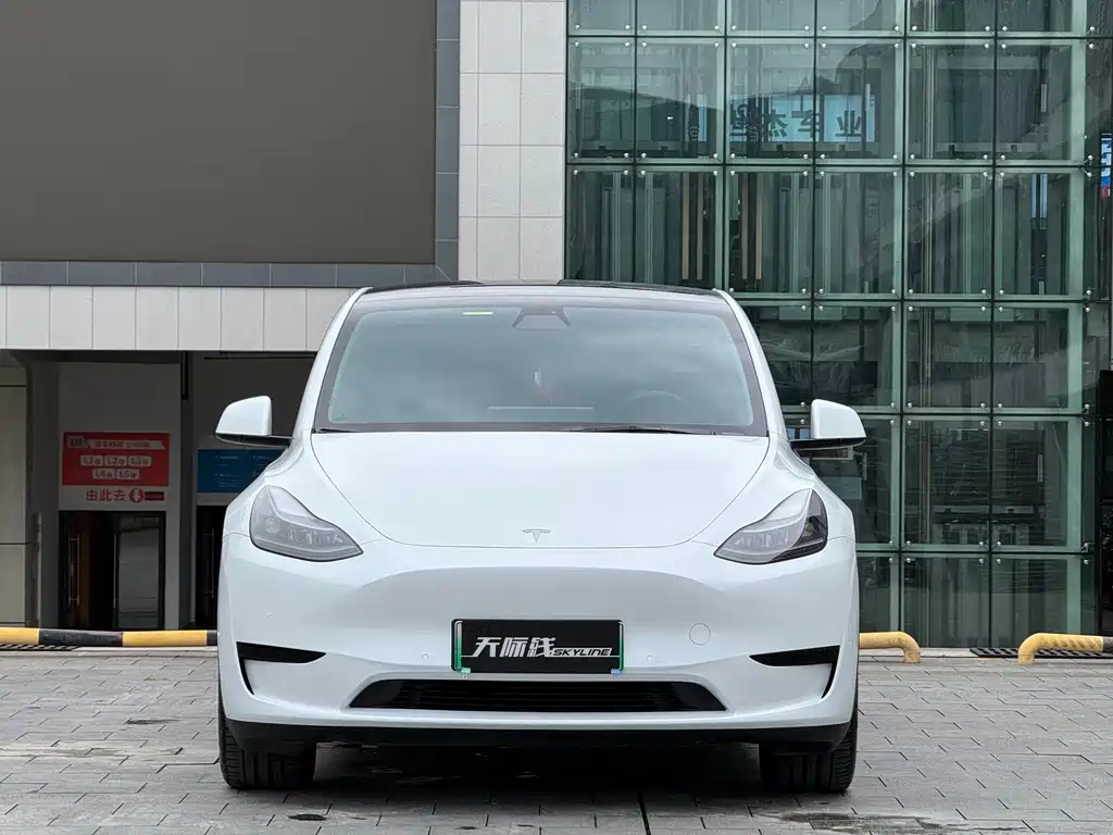 Model Y 2022 rear-wheel drive version купить на сайте DeffCars