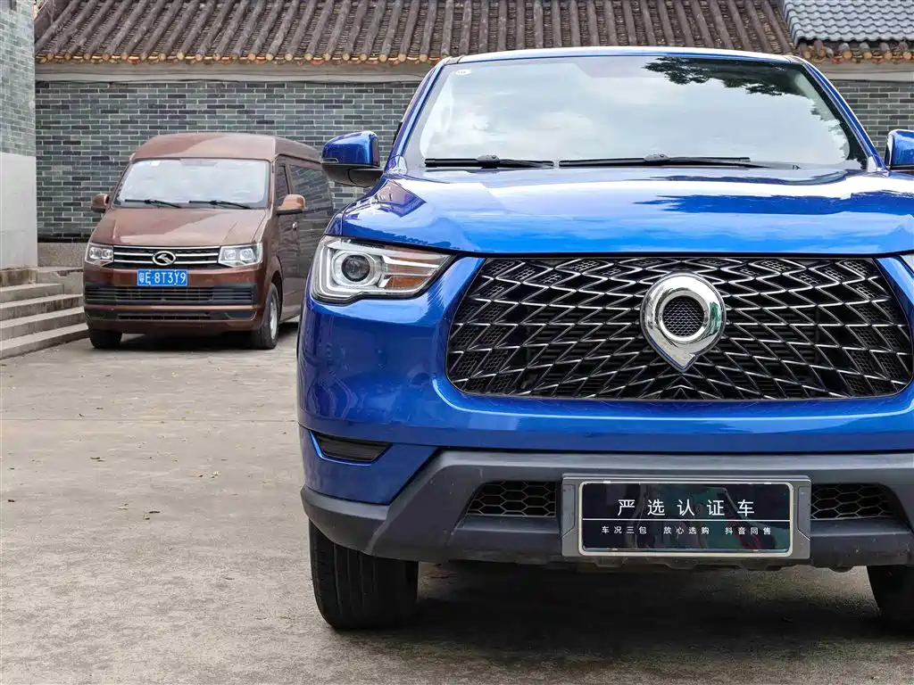 Cannon 2021 2.0T commercial version automatic diesel two-wheel drive elite long box GW4D20M купить на сайте DeffCars