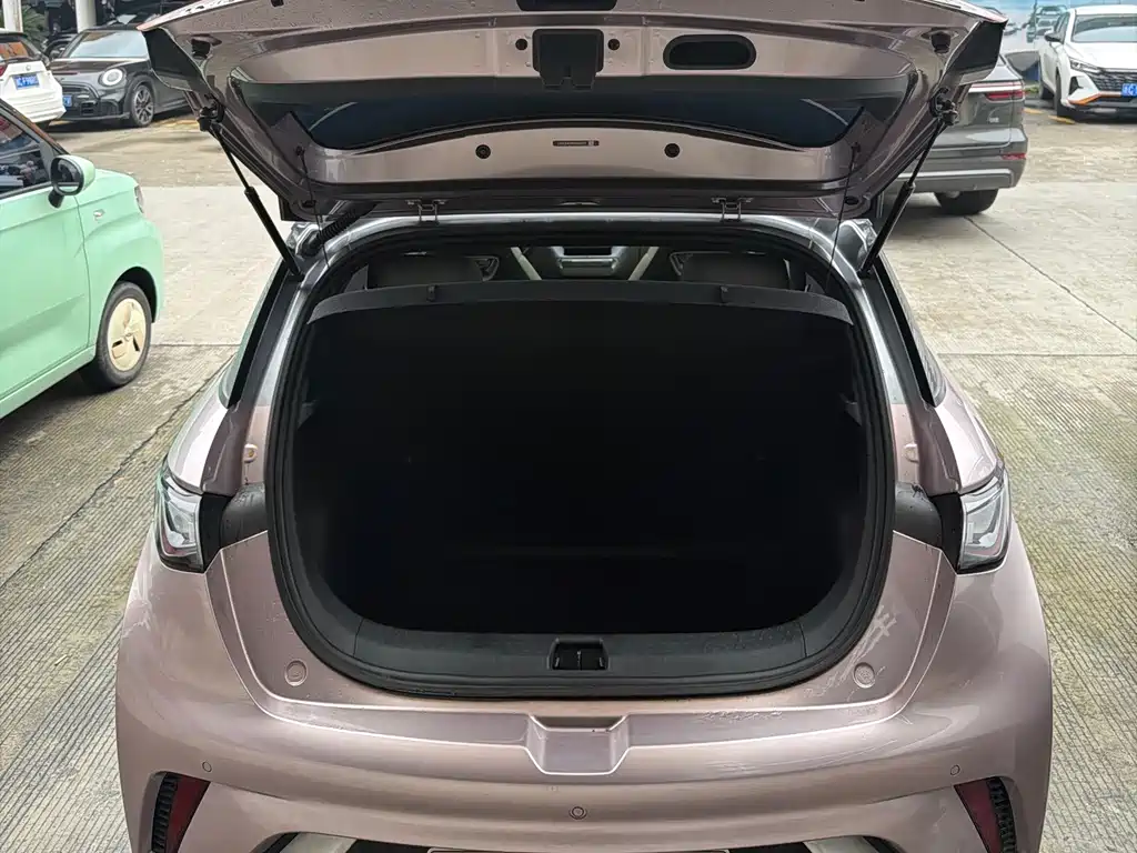 Dolphin 2021 401km Rider Edition купить на сайте DeffCars