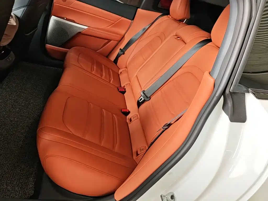 eπ007 2024 model extended range 200 Ruyi version купить на сайте DeffCars