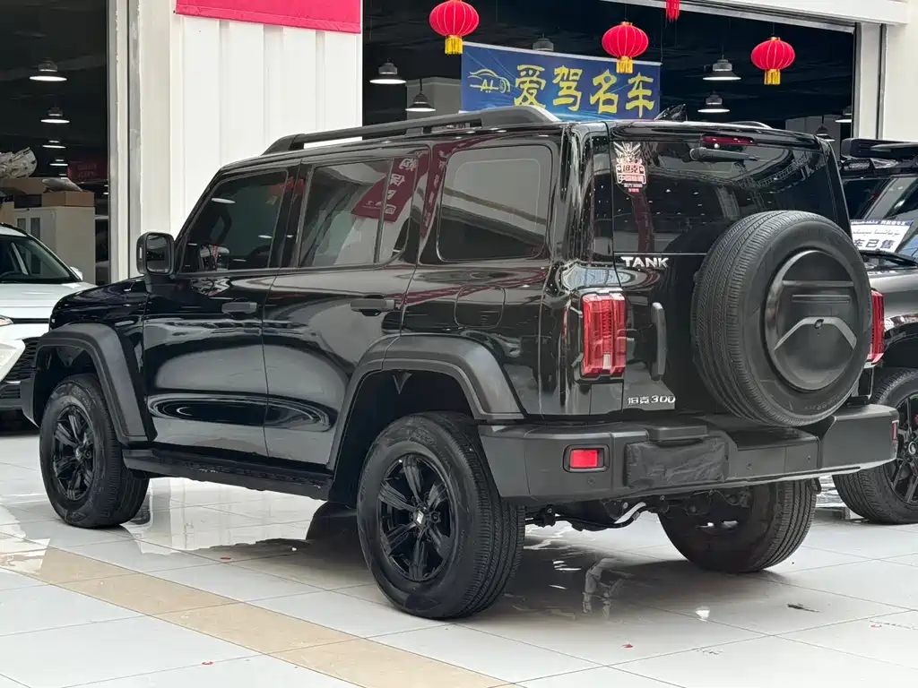 Tank 300 2021 Off-Road Version 2.0T Conqueror купить на сайте DeffCars