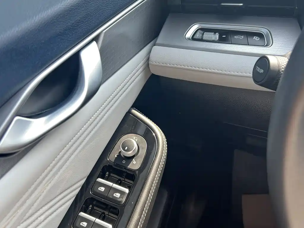 Xingrui 2023 2.0TD Premium Model купить на сайте DeffCars