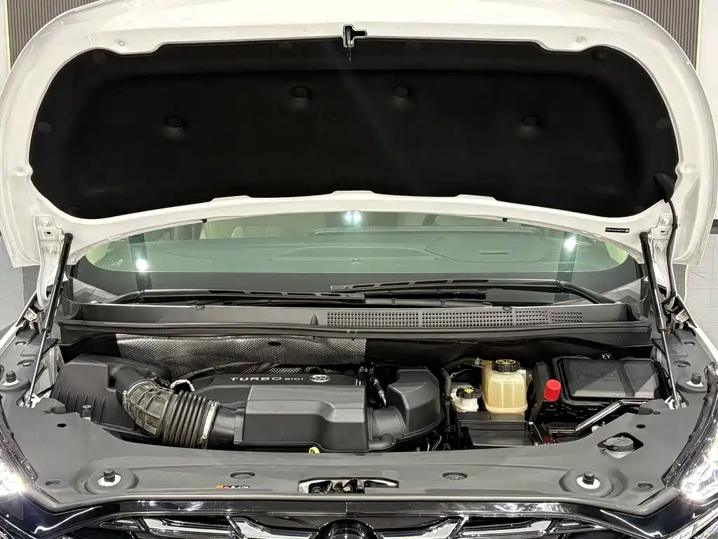 Buick GL8 2023 ES Lu Zun Exclusive Model купить на сайте DeffCars