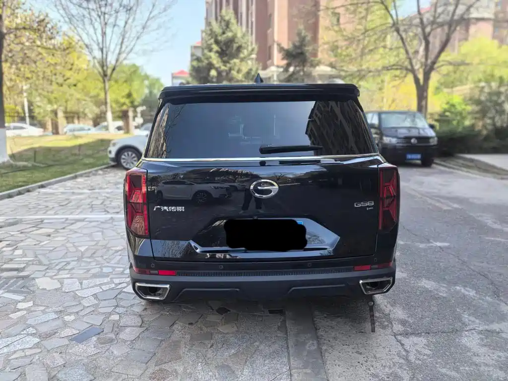 Trumpchi GS8 2024 Pilot Series 2.0TGDI four-wheel drive luxury smart connected version 7 seats купить на сайте DeffCars