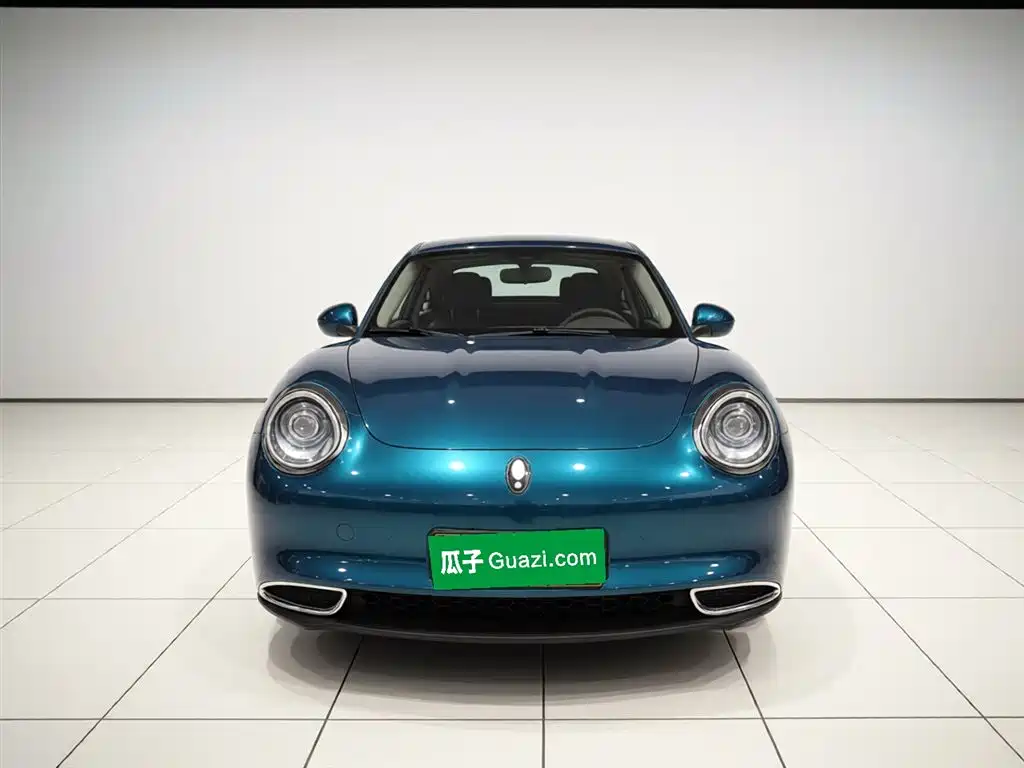 Euler Good Cat 2023 model 401km standard battery life luxury model lithium iron phosphate купить на сайте DeffCars