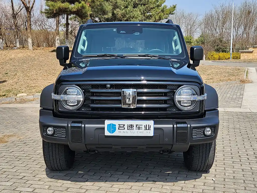 Tank 300 2021 Off-Road Version 2.0T Conqueror купить на сайте DeffCars