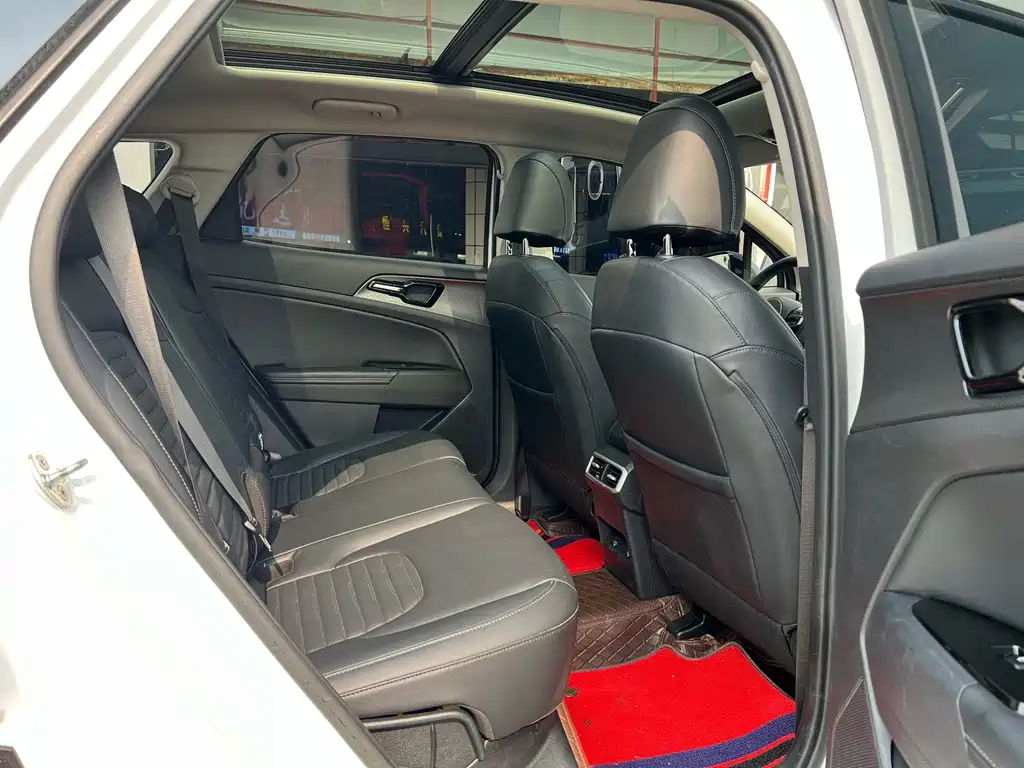 Lion Platinum Extends the World 2023 2.0T Two-wheel Drive Premium Edition купить на сайте DeffCars