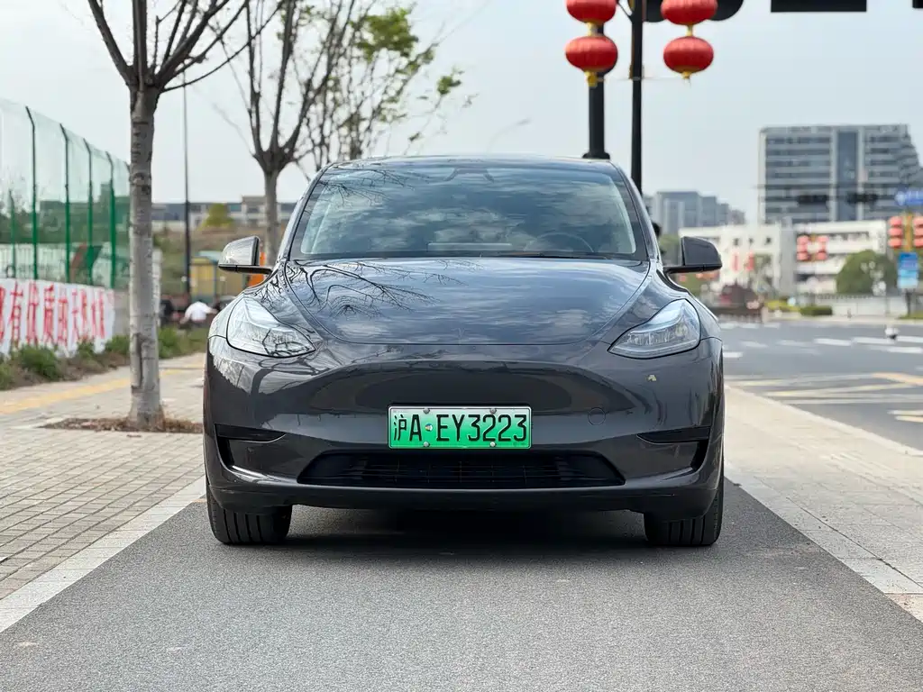Model Y 2024 rear-wheel drive version купить на сайте DeffCars