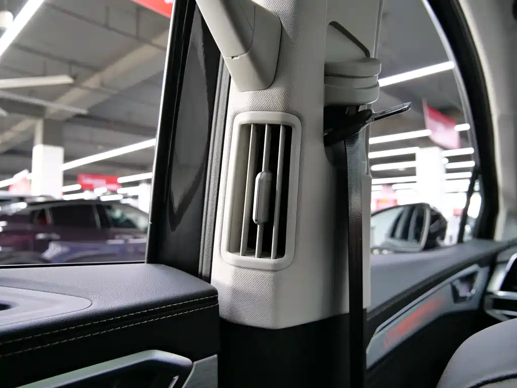 Lanjing 2024 530TSI four-wheel drive flagship Shengjing Pro crowd-pleaser model 6 seats купить на сайте DeffCars