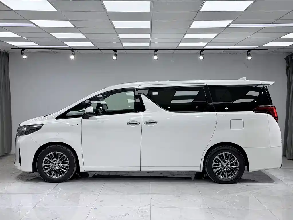 Alfa 2021 Shuangqing 2.5L Premium Edition купить на сайте DeffCars