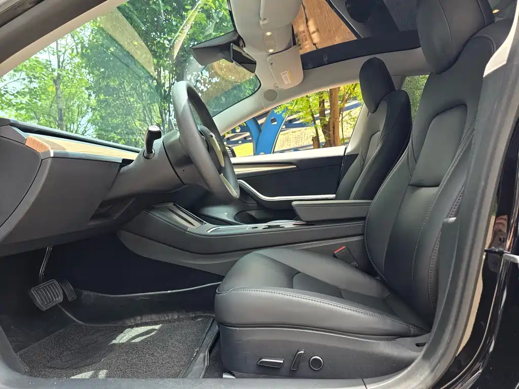 Model 3 2022 rear-wheel drive version купить на сайте DeffCars