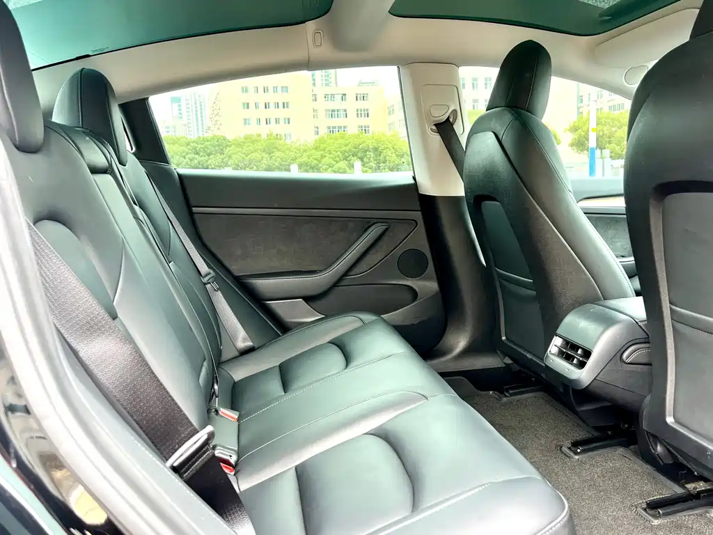 Model 3 2022 rear-wheel drive version купить на сайте DeffCars